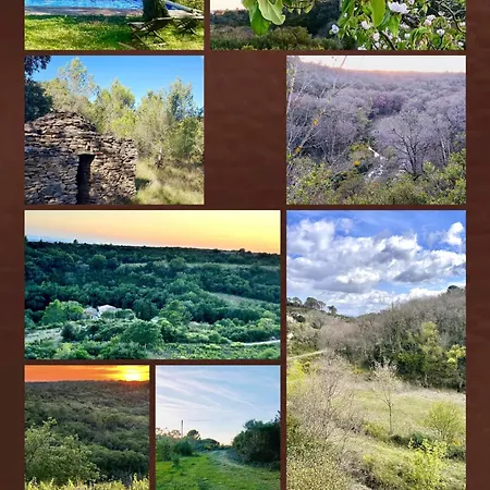 Prieure Du Font Juvenal Domaine Du Temps فندق مبيت وإفطار Conques-sur-Orbiel